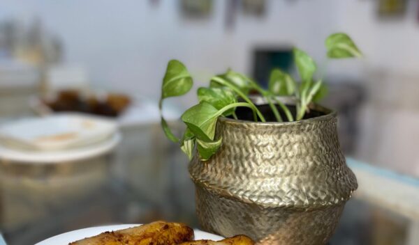 24227a00-1e5f-49ac-8e39-d8eba6a60077